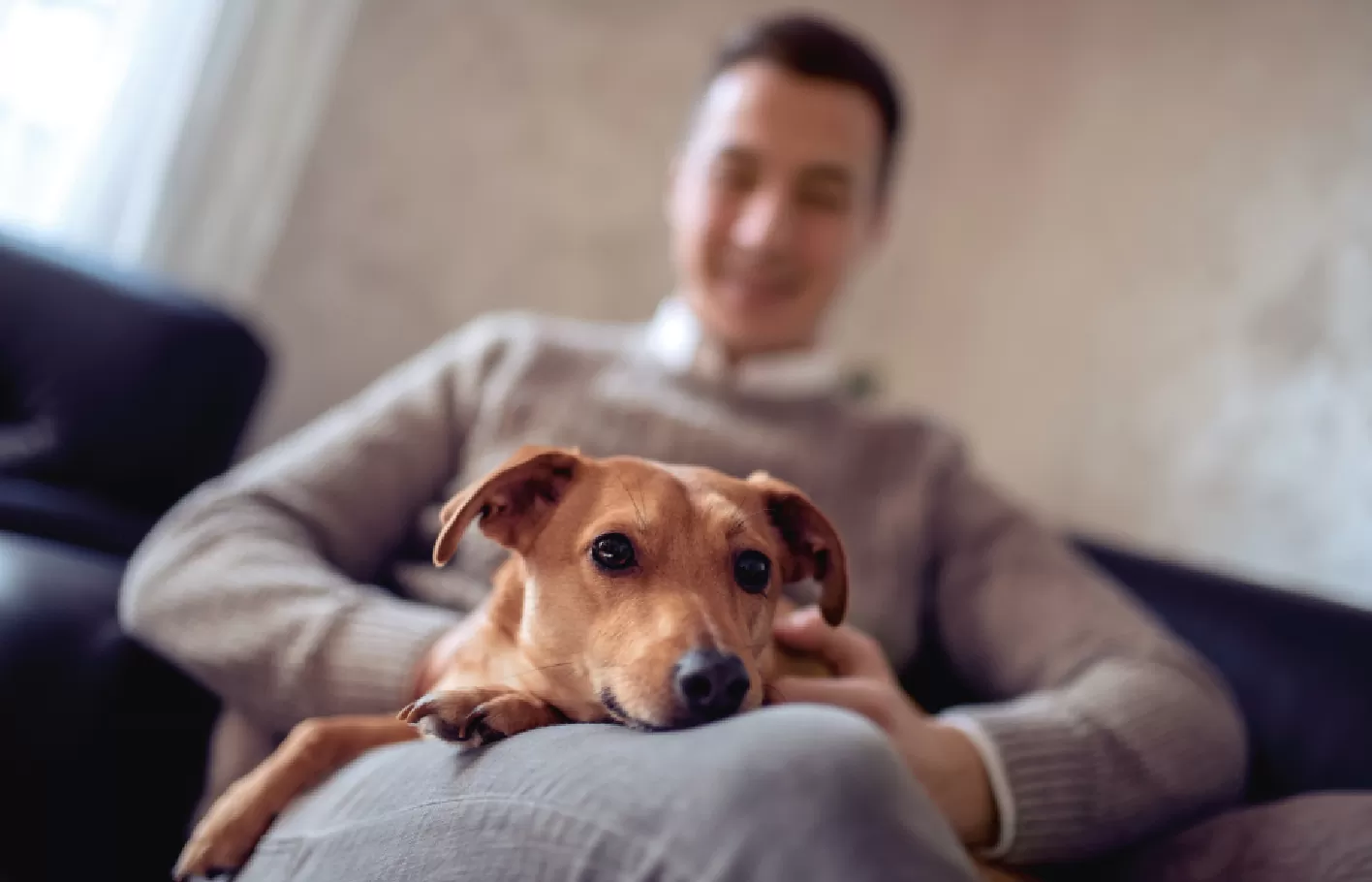 Ein adoptierter Hund ruht entspannt auf dem Schoss seiner Bezugsperson